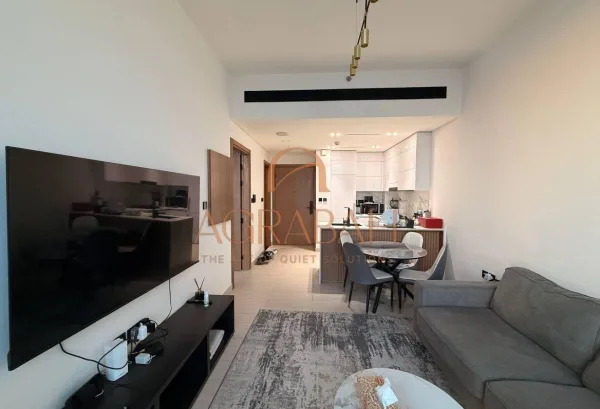 1BR apartment, Binghatti Venus
