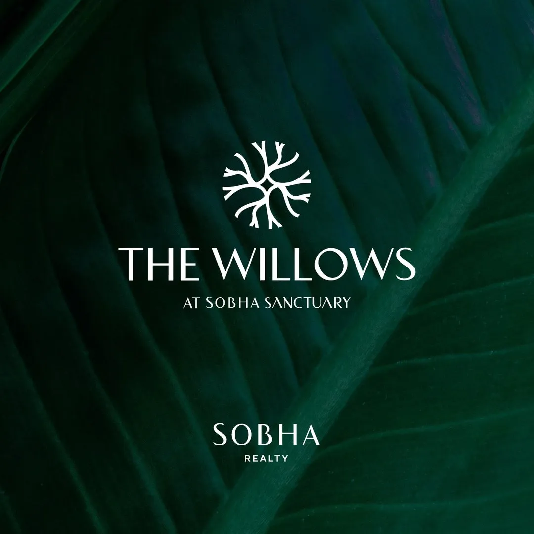 The Willows